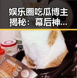 娱乐圈吃瓜博主揭秘：幕后神秘人物的真实面貌